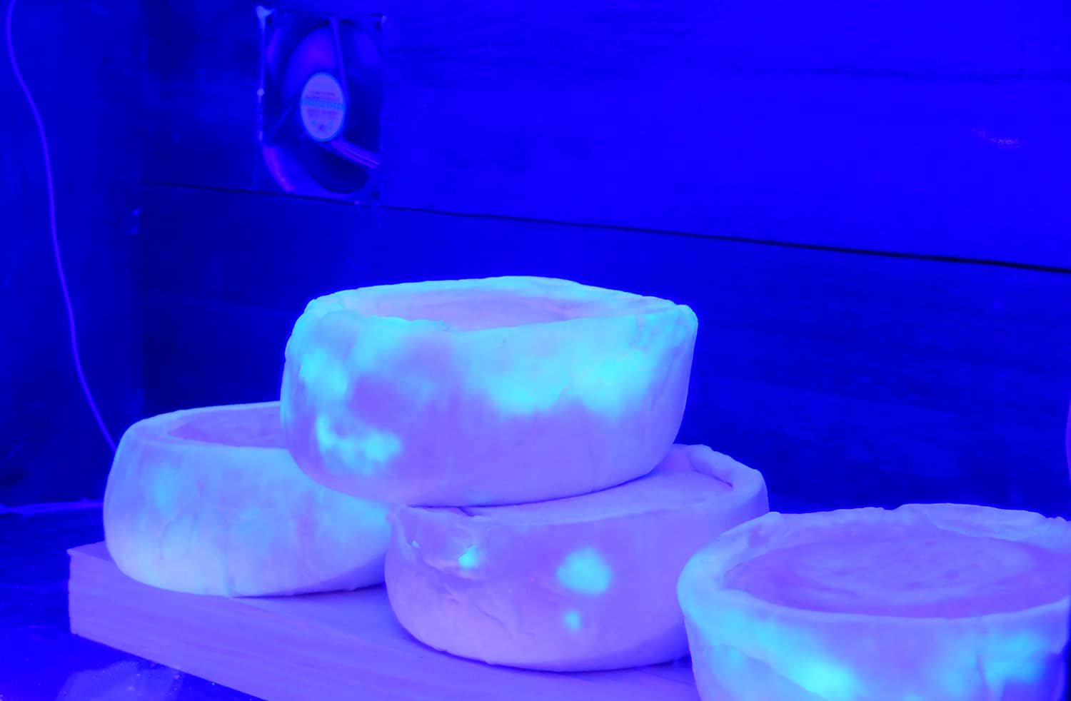 Pseudomonas Fluorescens, système d'affinage et lumières UV.