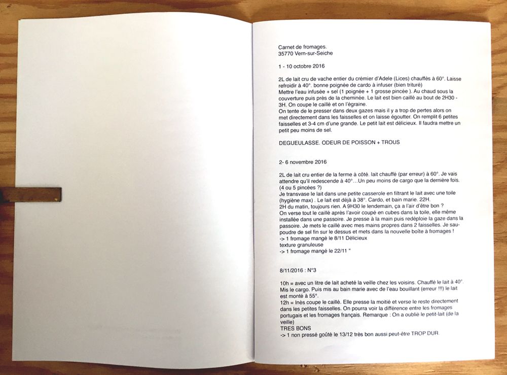 première page du livre d'expérimentations